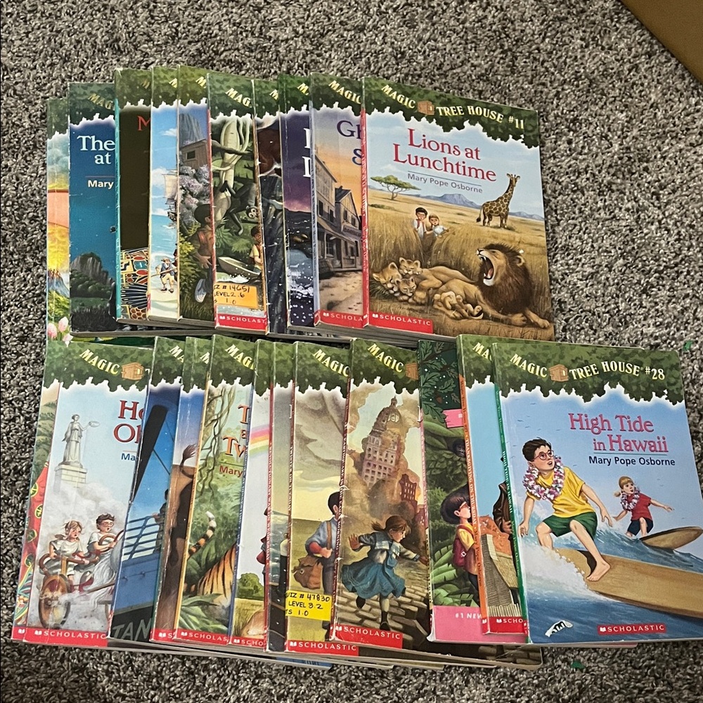 Magic tree house books